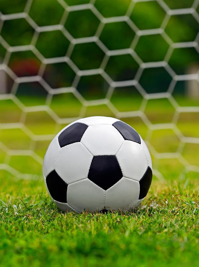 联系我们客服团队